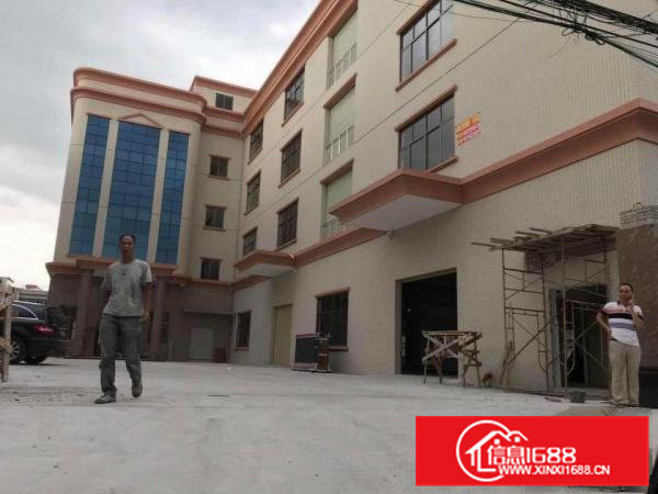 茶山镇工业区无公摊独院标准厂房