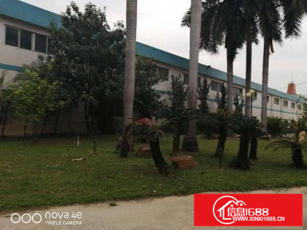 黄江镇原房东带红本独院砖墙到顶钢构9米高4000平方出租