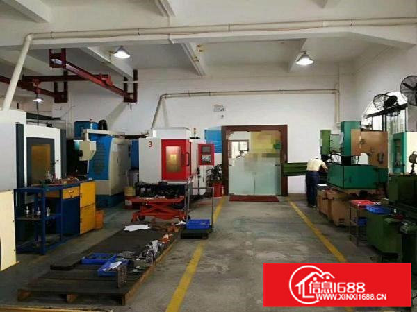 清溪浮岗标准一楼厂房500平方超大空地高度6米