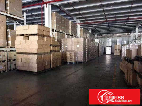 坂田五和大道独院红本钢构4000平出租，200平起分租