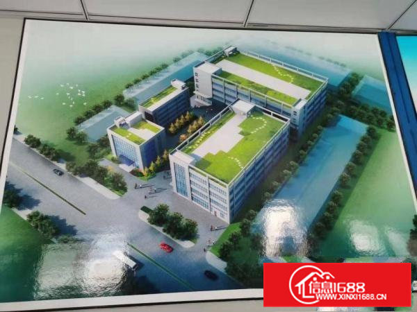 全新独院工业用地标准厂房出租