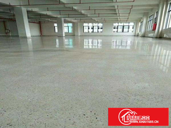 镇隆高速路口边,全新红本厂房出租