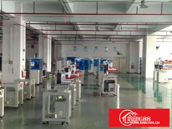 证件齐全带地坪漆桥头镇新出独院标准厂房1000平方出租