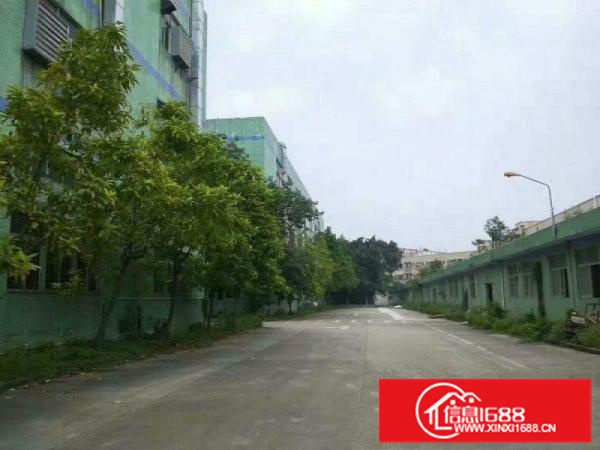 石湾镇中心厂房出租，证件齐全，包办环评。