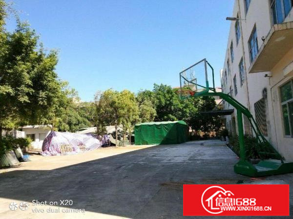 龙岗坪地六联厂房17370平方独院工业区厂房