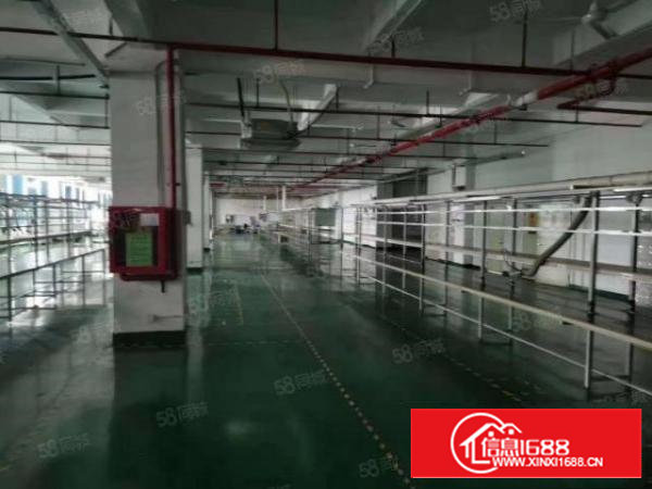 万丰98工业区1200平米精装修厂房出租