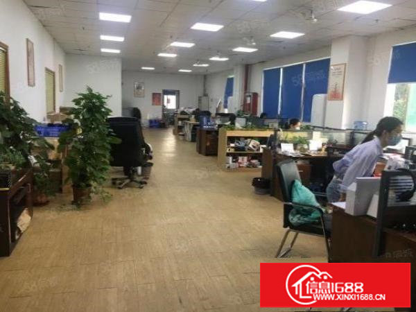 坂田南坑原房东1200平方厂房带精装修出租