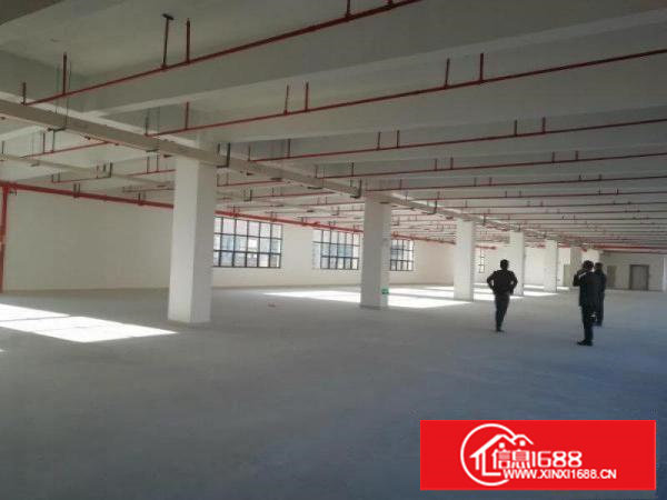 塘厦莲湖标准厂房一楼1600平米水电齐全