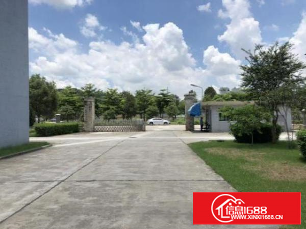 渔梁围独栋厂房出租豪华装修水电到车间