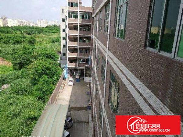 清溪青皇楼上1000平有装修带水电