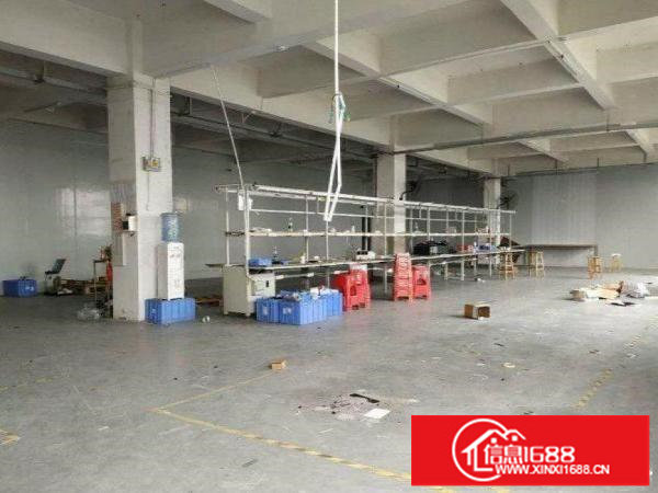 横岗一楼原房东550平厂房急租整租