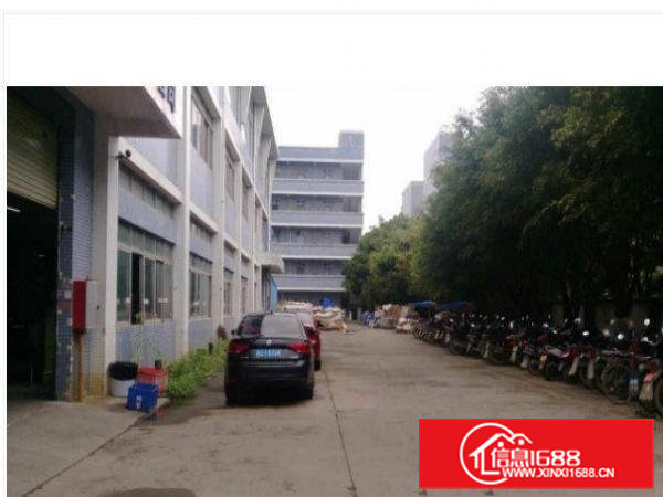 清溪渔梁围村一楼1200平方厂房招租现成线路和办公