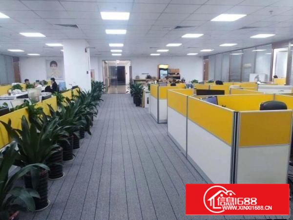 出租龙岗坂田杨美地铁口红本物业出租1000平