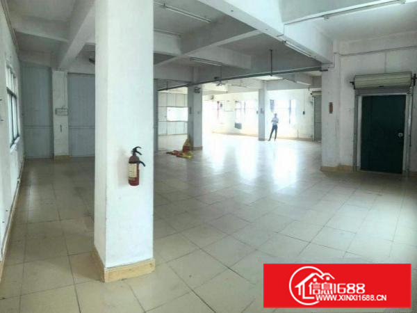 大朗杨涌新出楼上厂房600平厂房形象好位置佳易招工