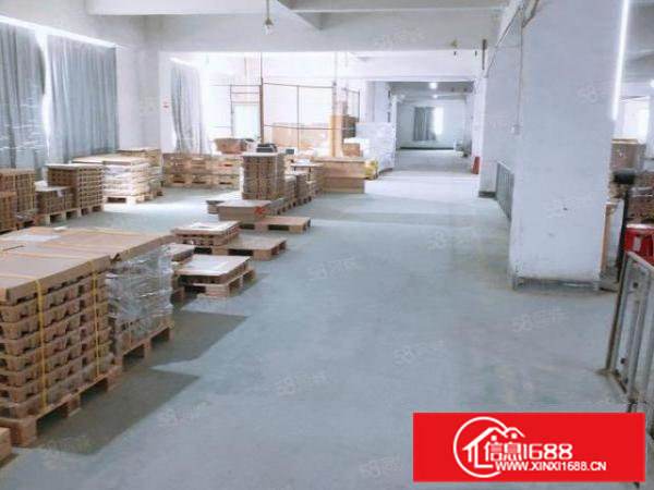 大朗工业区标准厂房1655平，带现成办公室地坪漆及消防喷淋