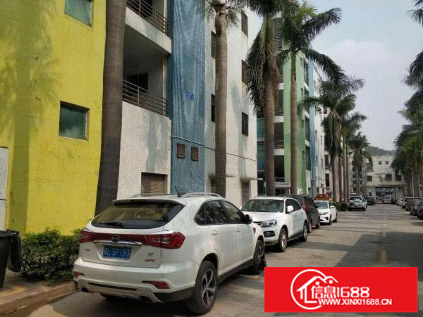 横岗塘坑地铁站独栋宿舍出租