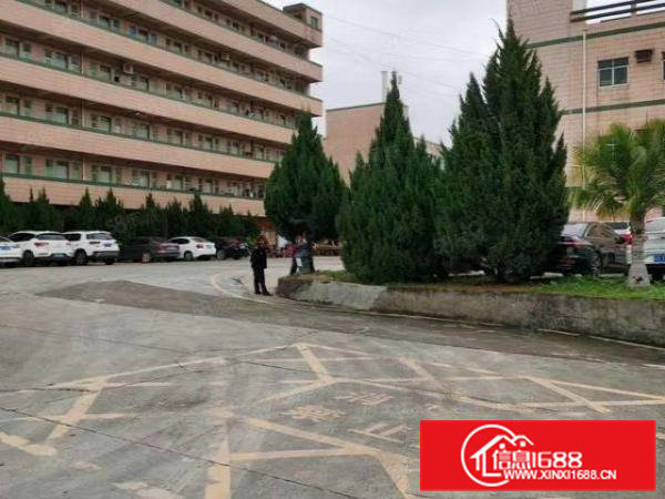 大岭山新空出楼上880厂房出租带精装修，交通便利