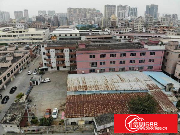 3800平方原房东独院标准厂房出租