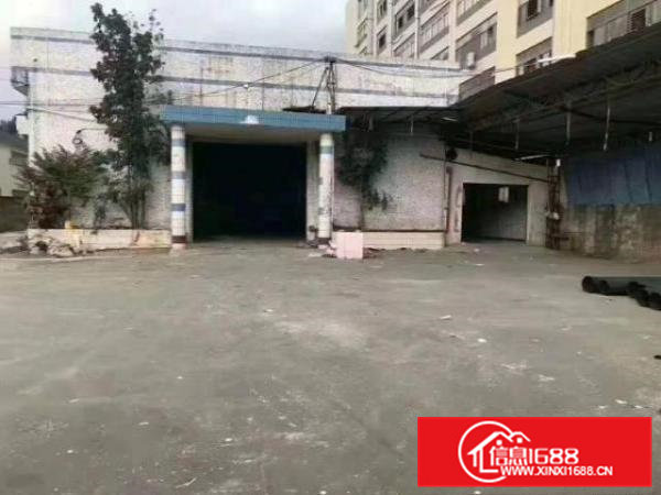 凤岗五联单一层钢结构厂房出租3000平近深圳观兰平湖