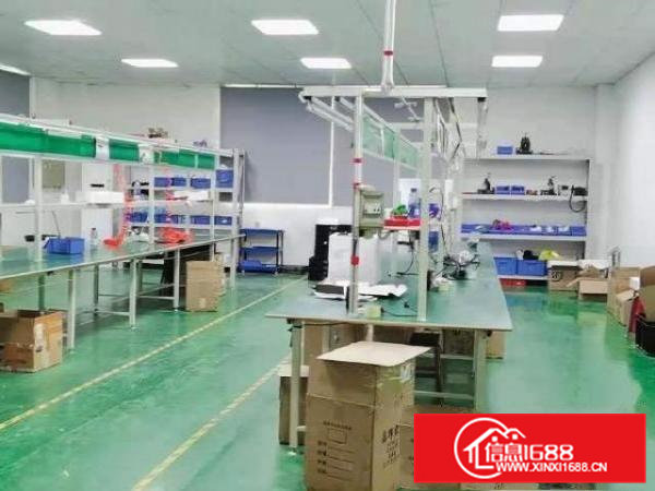 高标准无尘车间1600平，形象极好