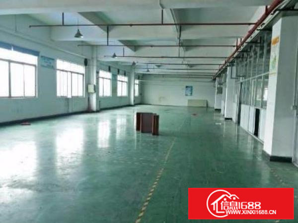 横沥隔坑独院12000平分租送现成装修