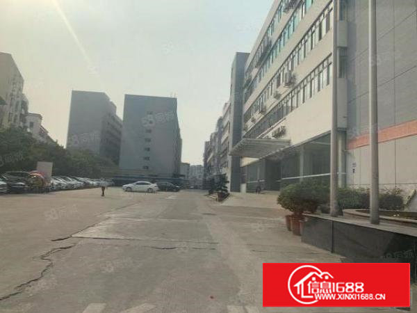 塘厦石潭埔新出原房东实际面积一楼2350平