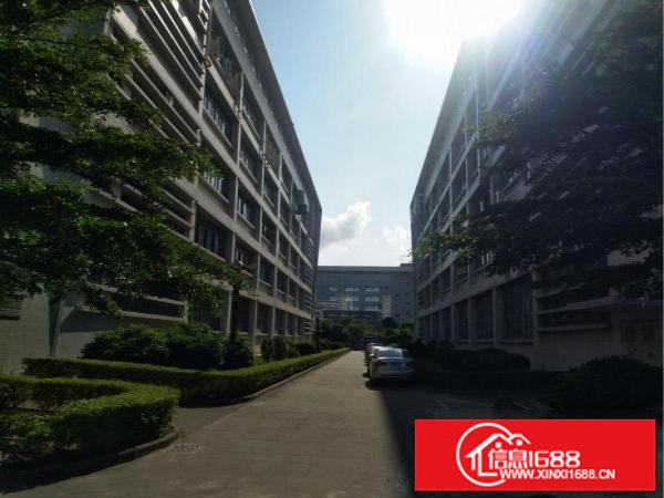 丹竹头楼上1680平米办公仓库出租（可分租）