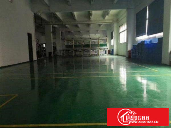 平湖标准楼上一整层1200平带豪华装修出租可分租