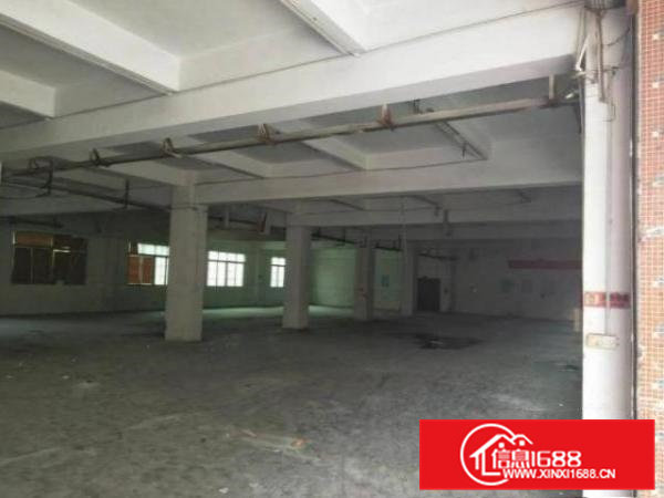 清溪清厦村新出原房东标准一楼厂房1200平方出租