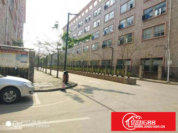 坑梓新出原房东独院7600平，一楼带牛角招租可分租