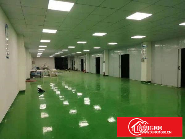 寮步西溪带豪华装修标准厂房600平方出租入驻可生产