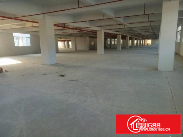 龙岗坪地中心村超靓独院厂房15000平米招租