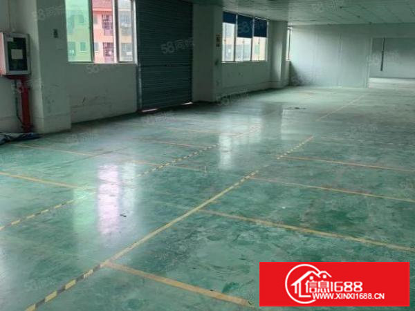 观澜松元.楼上现成水电.吊顶.地坪漆，拎包入住厂房出租