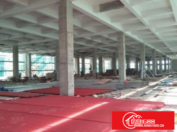 五沙工业区首层2000方水泥结构厂房出租;欢迎致电打扰