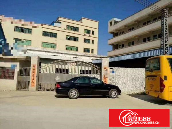 大朗镇独门独院厂房2000平方出租，实用率大