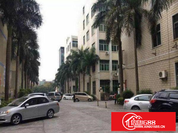 横岗茂兴路一楼600平米原房东厂房