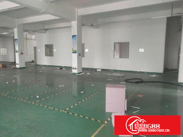 龙岗南通道边原房东独栋3000平现成办公楼出租