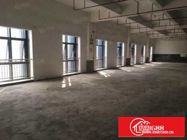 凤凰新出来独门独院独幢厂房