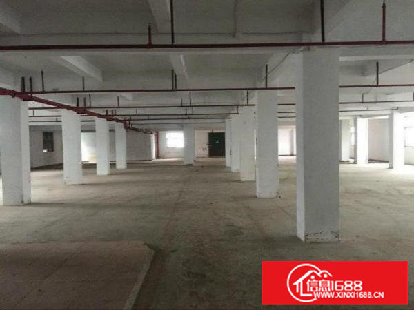 凤岗镇小独院3000平方厂房火爆招商，靠近深圳平湖