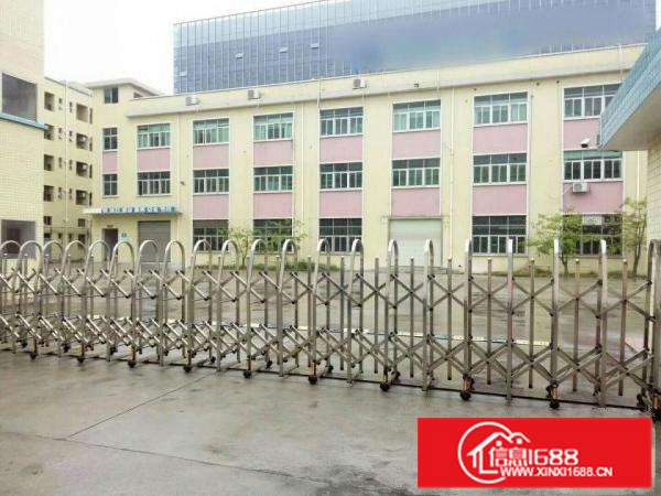 惠阳新圩东风新出1600平标准厂房一楼出租楼高6米