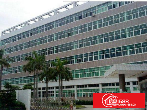 常平塘角楼上3000平米带豪华装修厂房出租