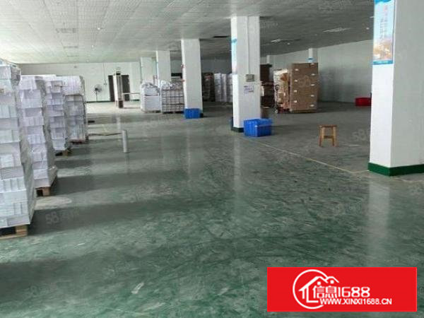 塘厦科苑城工业区新出1300平吊顶装修厂房，实用8成，主线到