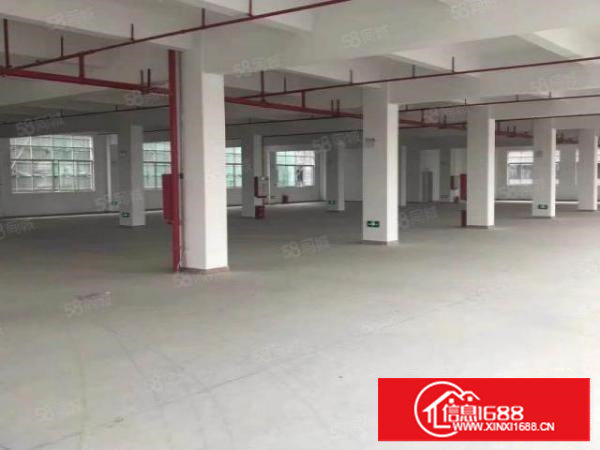 塘厦沙湖新出3700平标准厂房出租