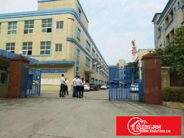 房东出租标准厂房一楼面积1300平方米