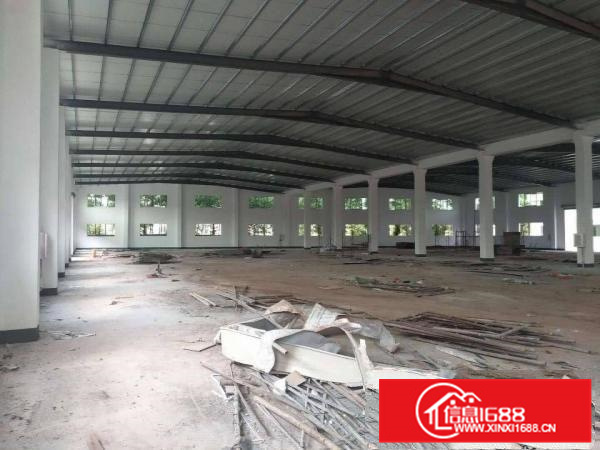 陈江原房东全新独院厂房出租