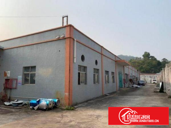 出租龙岗区龙岗布吉丹竹头地铁站附近600平米一楼厂房仓库