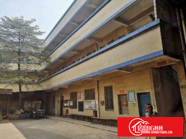 里水独门独院花园式带木制家具环评厂房出租