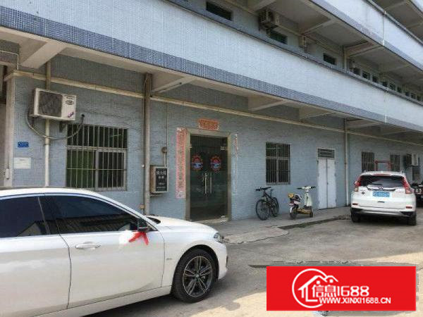 塘厦科苑城刚空出一楼厂房300平方贸易加精装办公