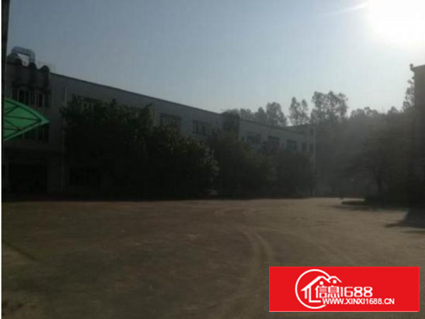 坪山新区石井新出钢构3000平米厂房带行车