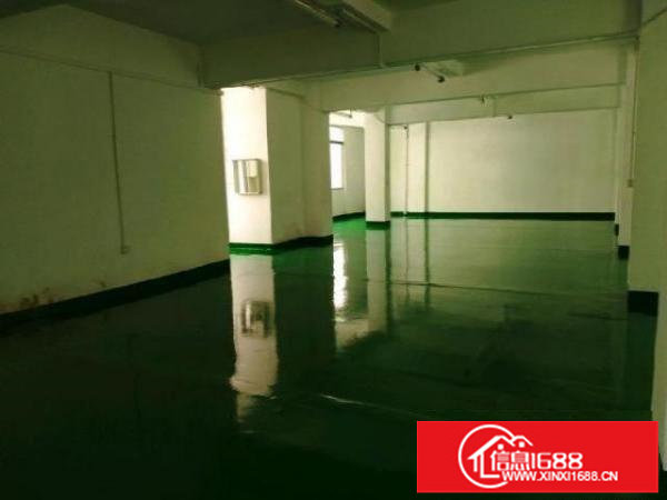 新田环观南路1楼厂房390平方